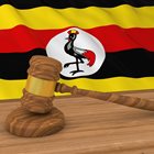 Museveni needs protection of foolish laws