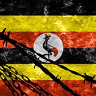 Why I defend Bobi Wine and Bebe Cool’s freedom of choice