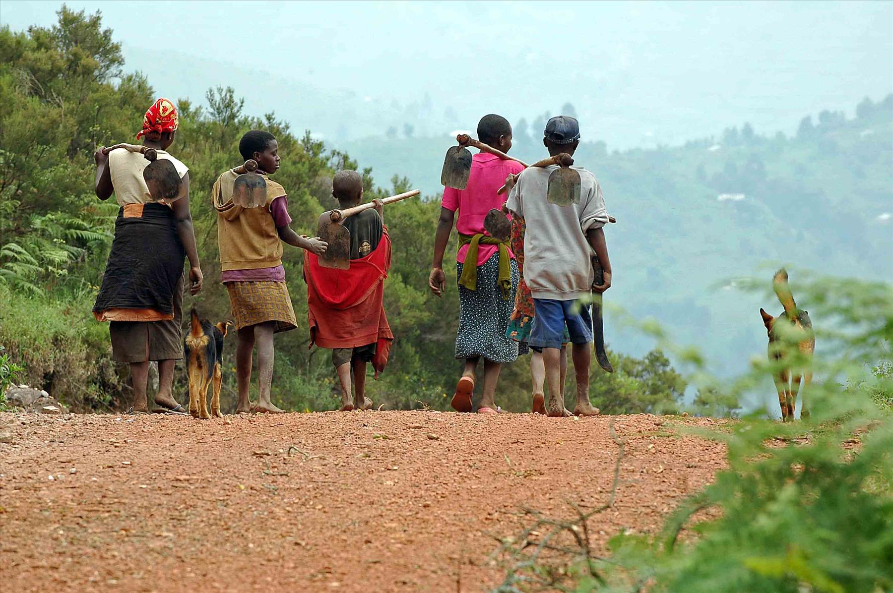 ICOB Board appoints Kigyezi Day Subcommittee