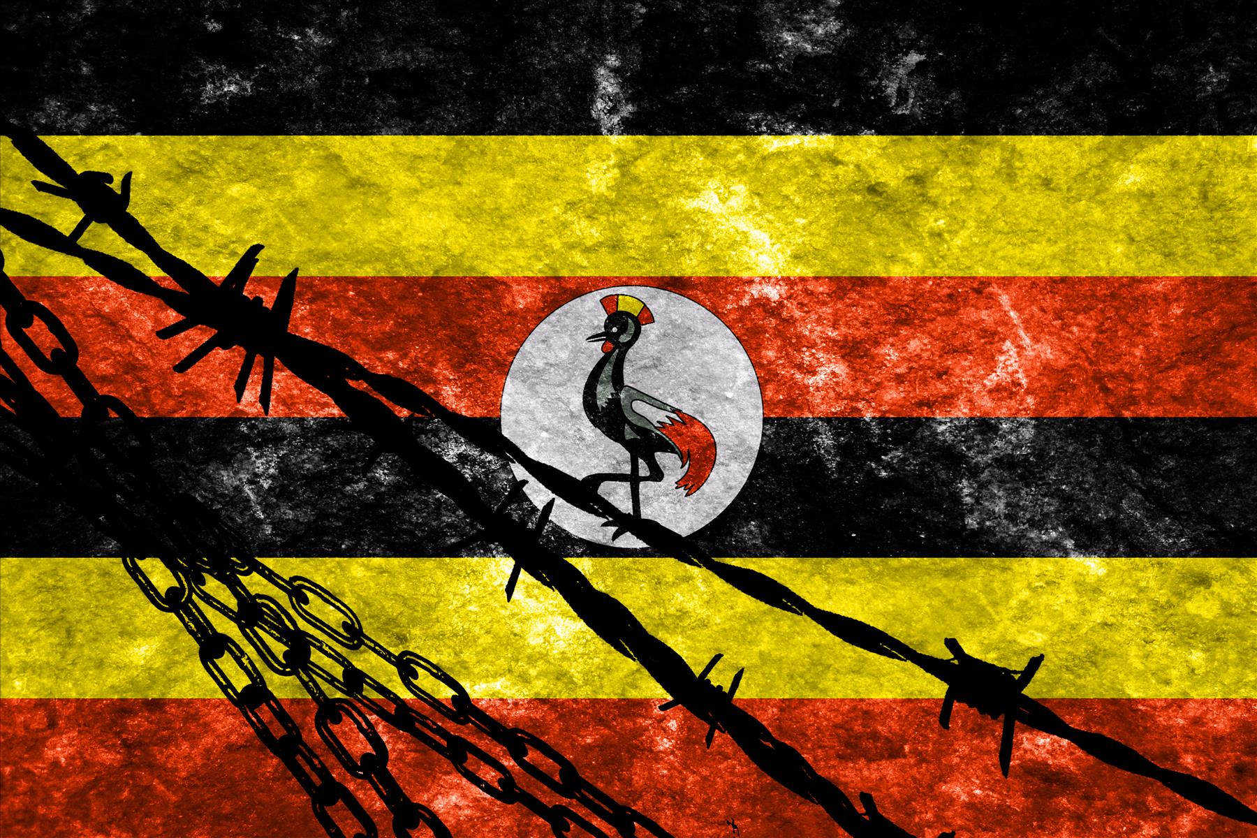 Why I defend Bobi Wine and Bebe Cool’s freedom of choice