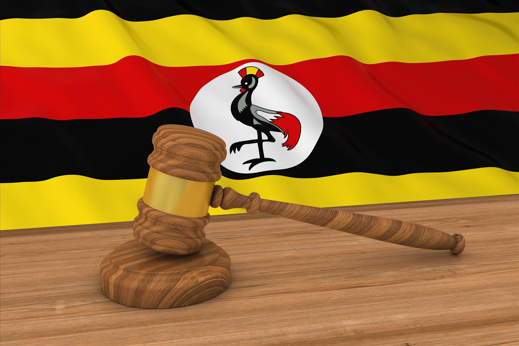 Museveni needs protection of foolish laws?