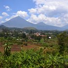 
				ICOB-Uganda Chapter Convention in Kisoro will be a perfect ending to the year		