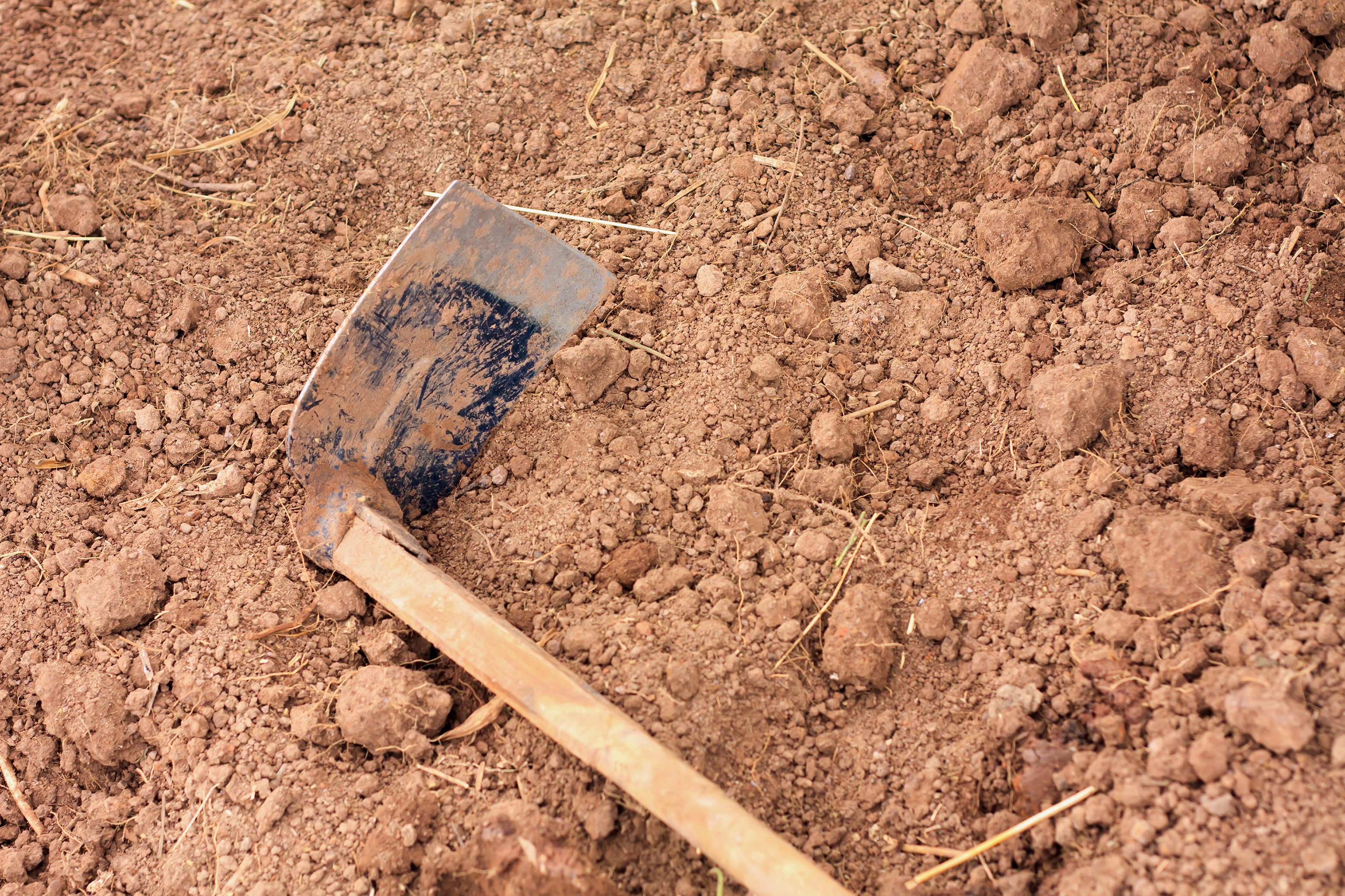 Soil with Hoe gardening tool