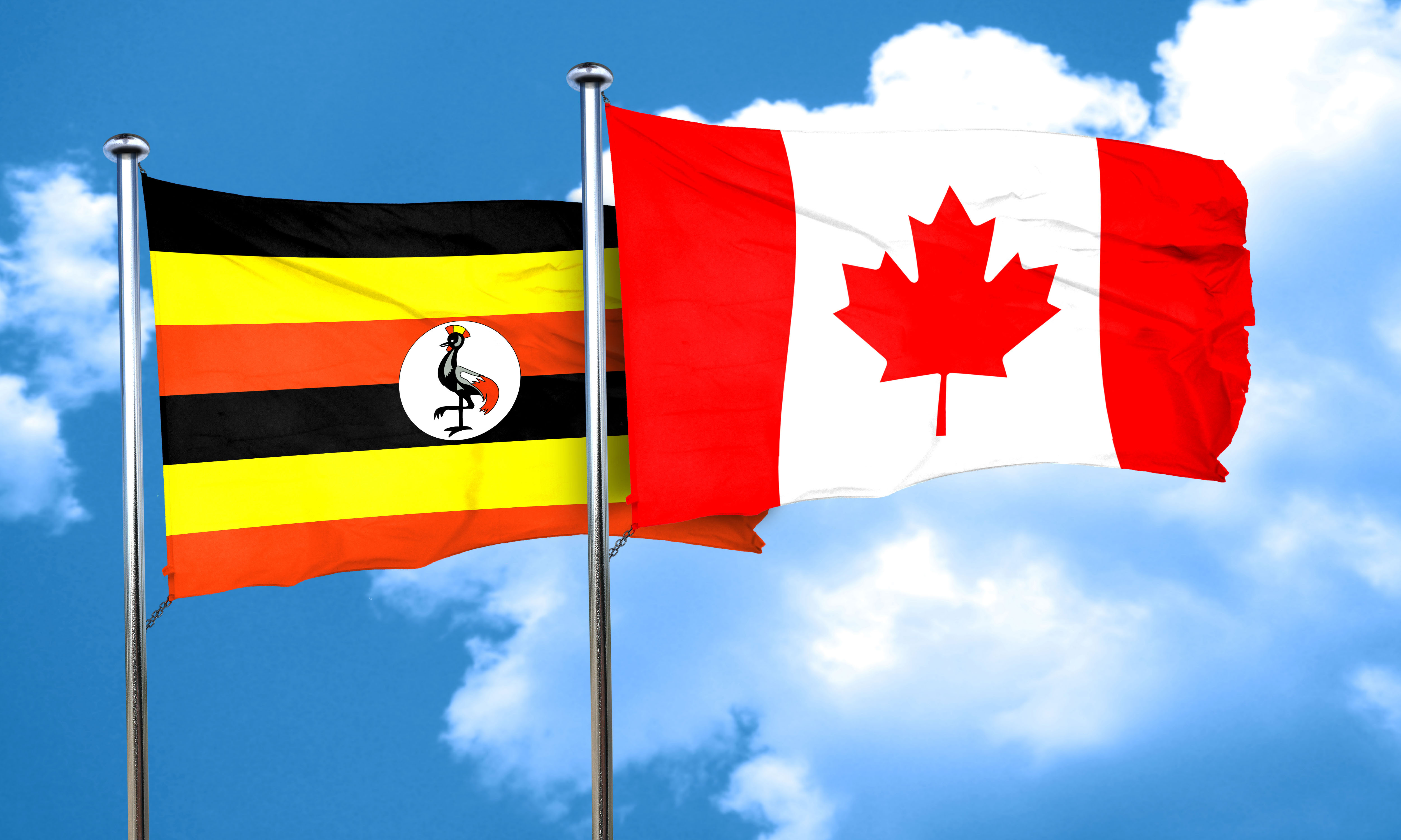 Uganda flag with Canada flag, 3D rendering