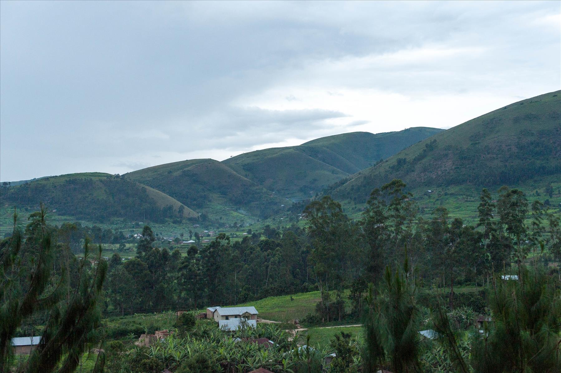 Fruits Rukiga Rukiga District: brief facts and figures