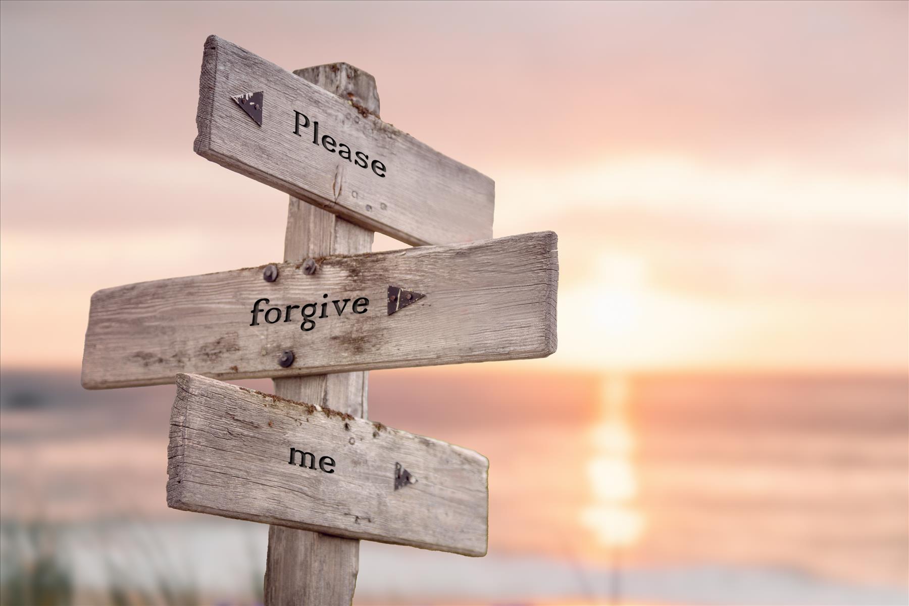 What constitutes a sincere apology?
