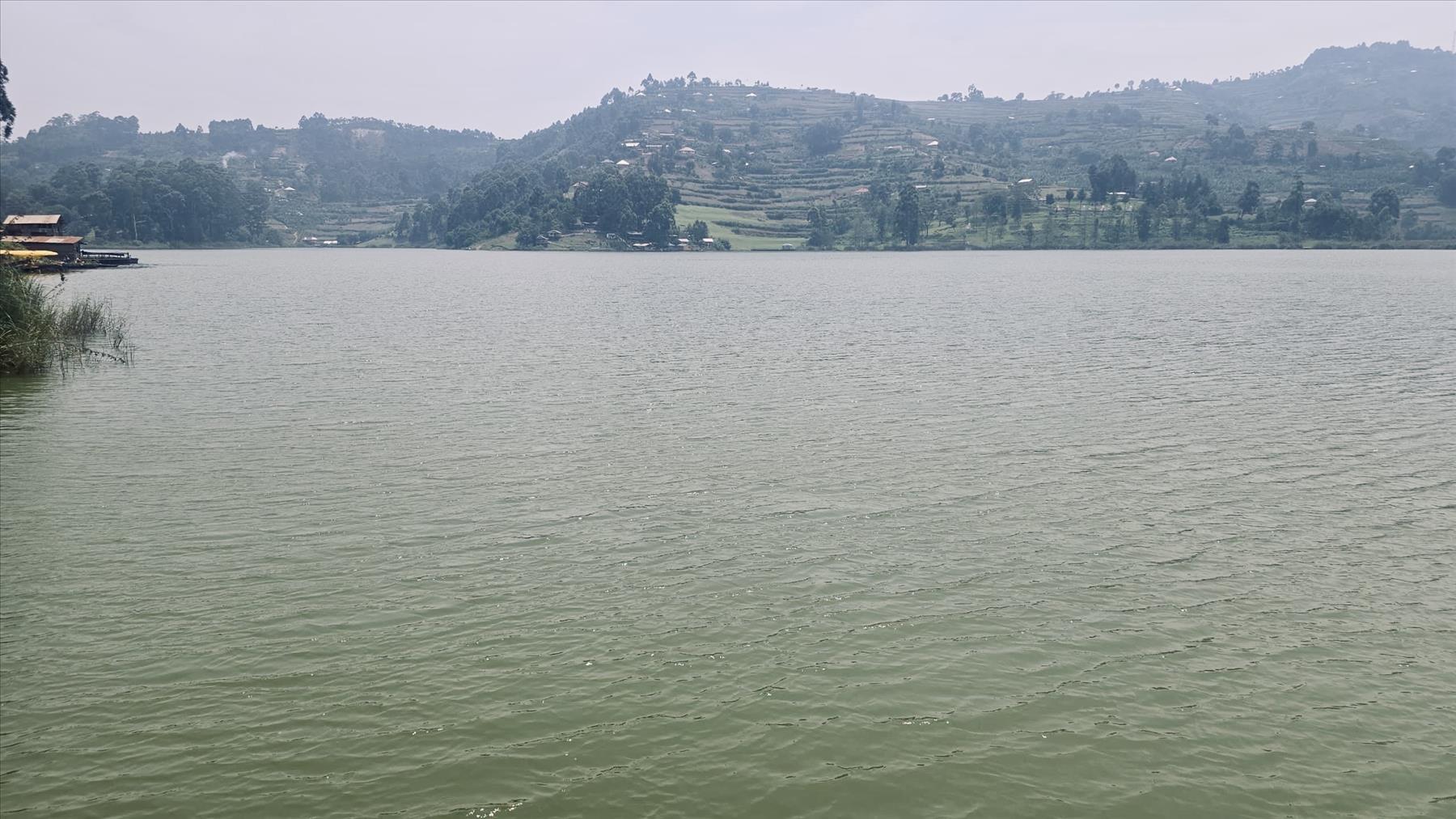 Bunyonyi Fights Back ​!