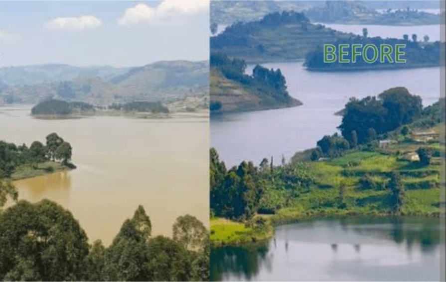 The power behind the brown color on lake Bunyonyi