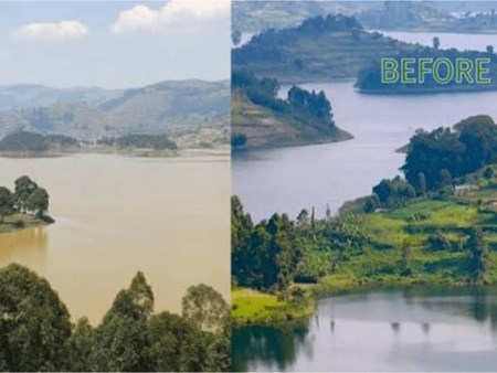 The power behind the brown color on lake Bunyonyi 23254 the power behind the brown color on lake bunyonyi 1