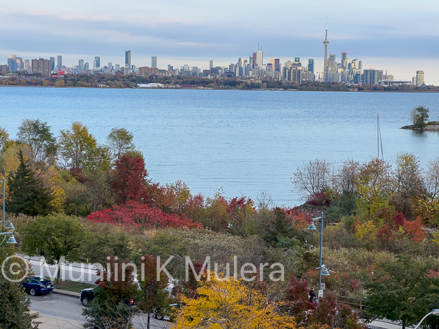 Ugandan weather and the simple pleasures of life